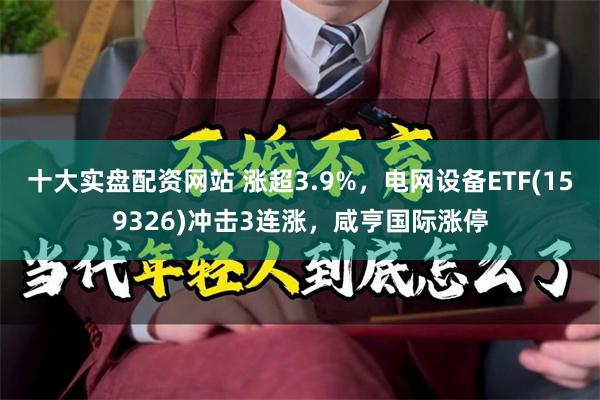 十大实盘配资网站 涨超3.9%，电网设备ETF(159326)冲击3连涨，咸亨国际涨停