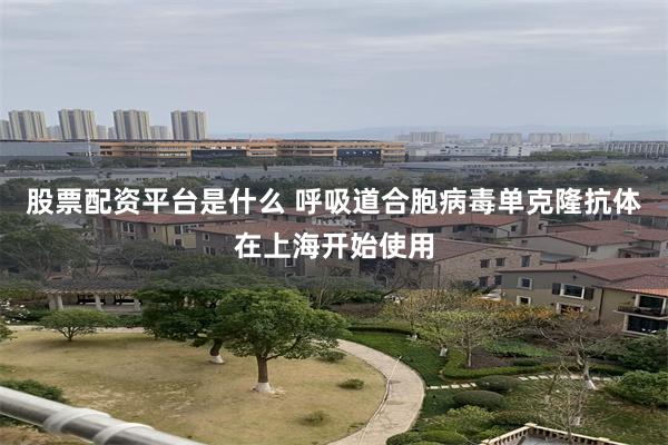 股票配资平台是什么 呼吸道合胞病毒单克隆抗体在上海开始使用