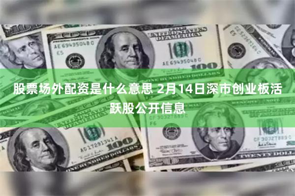 股票场外配资是什么意思 2月14日深市创业板活跃股公开信息