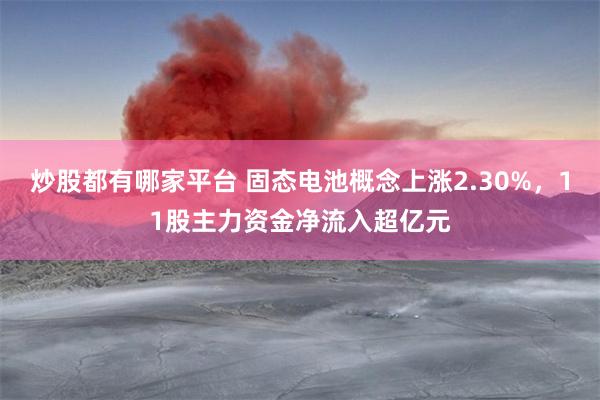 炒股都有哪家平台 固态电池概念上涨2.30%，11股主力资金净流入超亿元