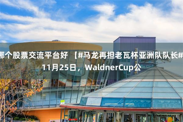 哪个股票交流平台好 【#马龙再担老瓦杯亚洲队队长#】11月25日，WaldnerCup公