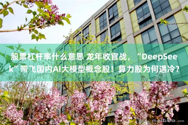 股票杠杆率什么意思 龙年收官战，“DeepSeek”带飞国内AI大模型概念股！算力股为何遇冷？