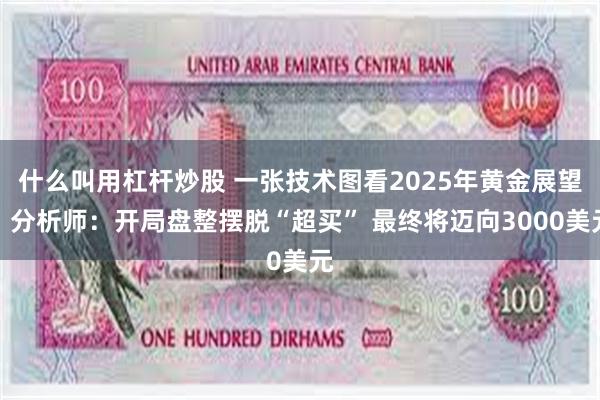 什么叫用杠杆炒股 一张技术图看2025年黄金展望！分析师：开局盘整摆脱“超买” 最终将迈向3000美元