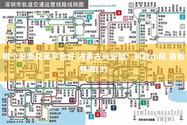 哪个股票交易平台好 内蒙古兴安盟：科技小院 菌香林海(3)