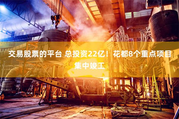 交易股票的平台 总投资22亿！花都8个重点项目集中竣工