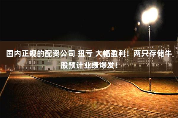 国内正规的配资公司 扭亏 大幅盈利！两只存储牛股预计业绩爆发！