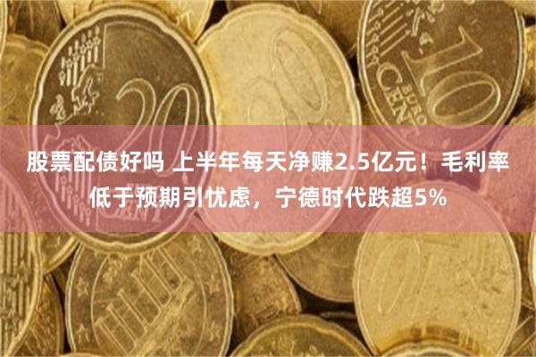 股票配债好吗 上半年每天净赚2.5亿元！毛利率低于预期引忧虑，宁德时代跌超5%