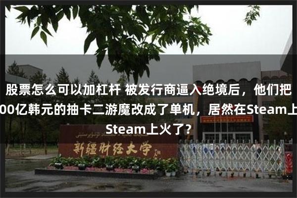 股票怎么可以加杠杆 被发行商逼入绝境后，他们把预算300亿韩元的抽卡二游魔改成了单机，居然在Steam上火了？