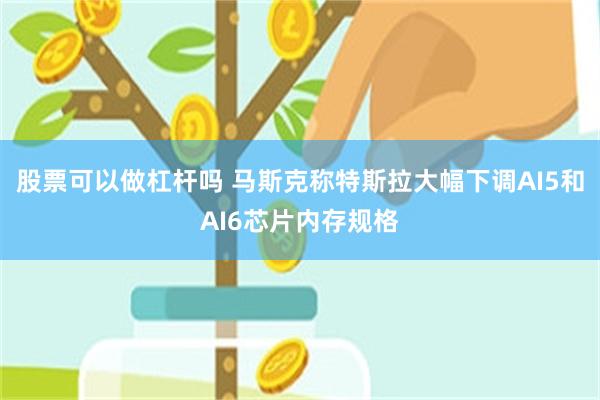 股票可以做杠杆吗 马斯克称特斯拉大幅下调AI5和AI6芯片内存规格